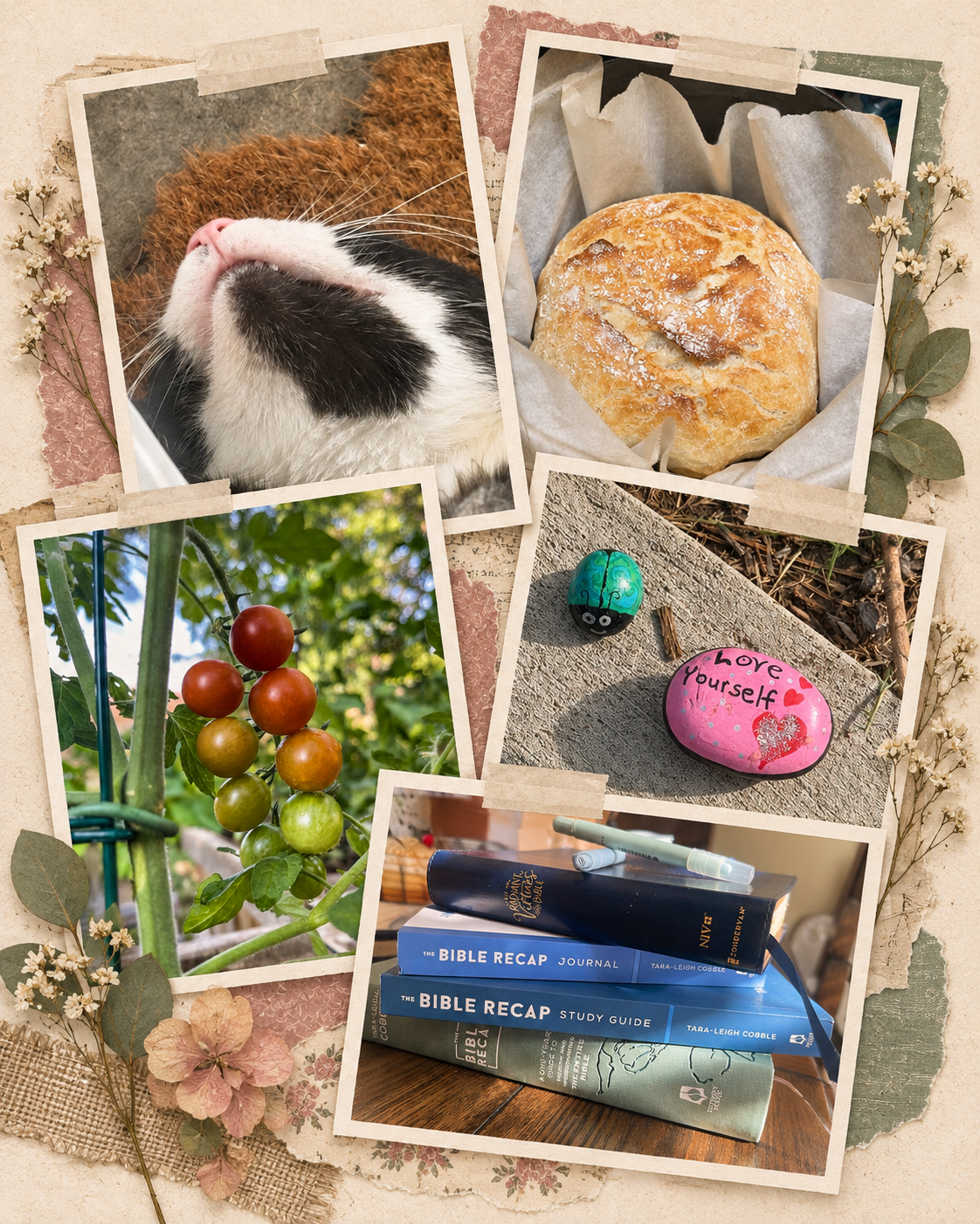 Scrapbook collage made from personal photos of a cat, homemade bread, garden tomatoes, painted rocks, and Bible study books